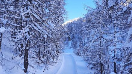 December