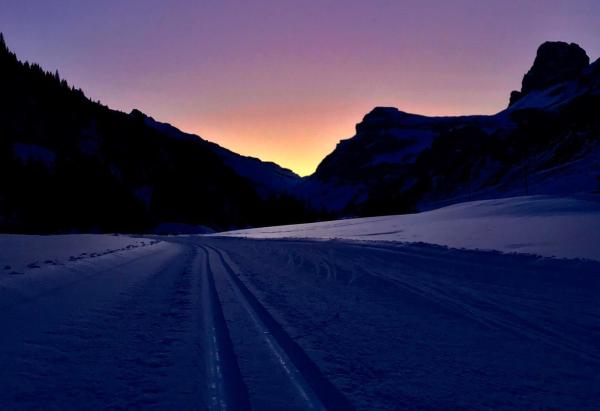 NEW: cross-country courses in December & January